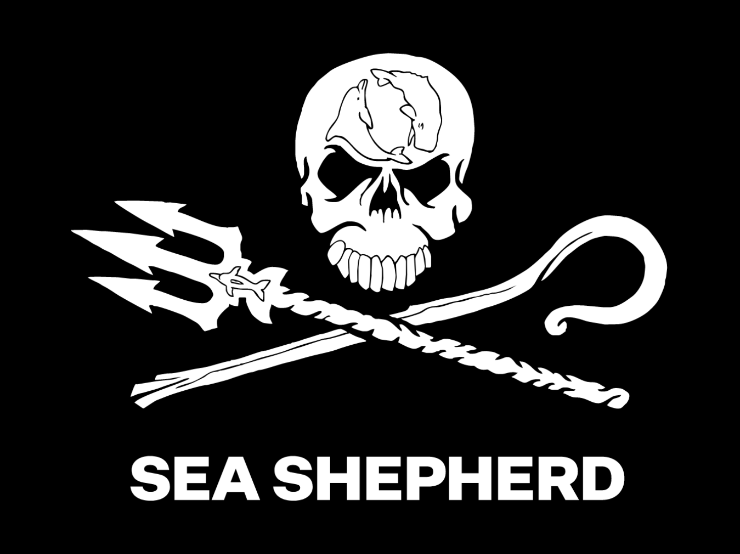 Photo - Sea Shepherd