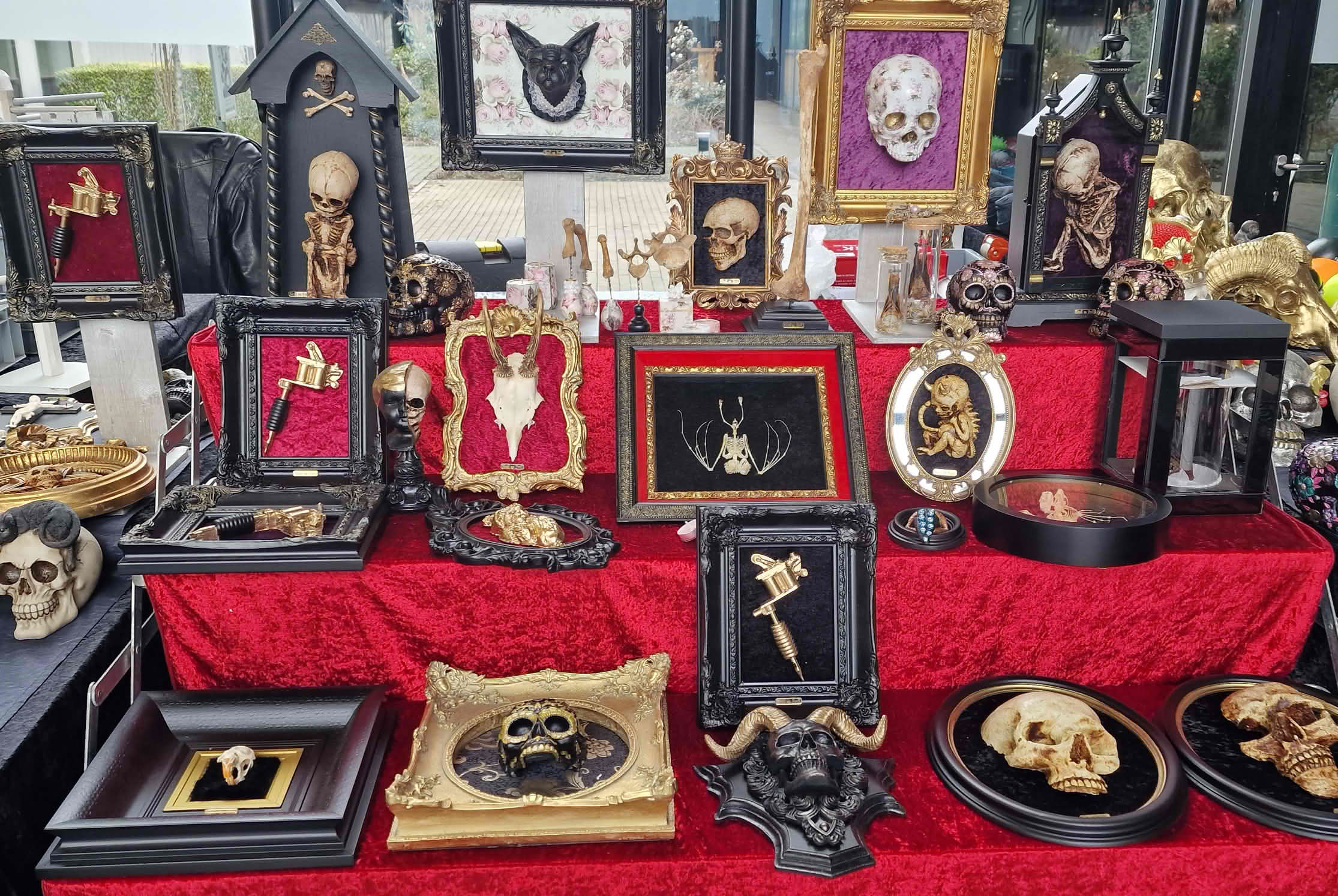 Photo - Skull and Prull