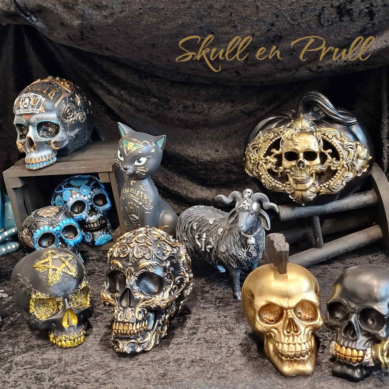 Photo - Skull and Prull