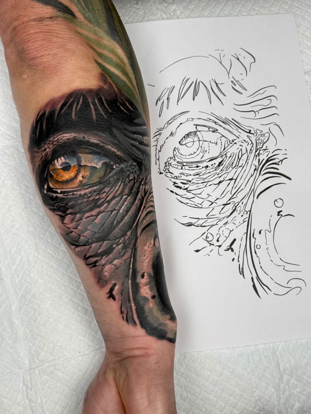 Photo - Toon's Tattoo